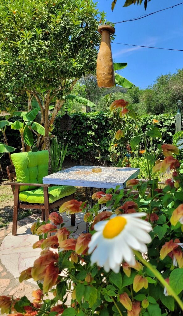 Orchard Greek Family Taverna: Your Authentic Greek Culinary Escape 2 Orchard Greek Family Taverna CorfuDiscovery3