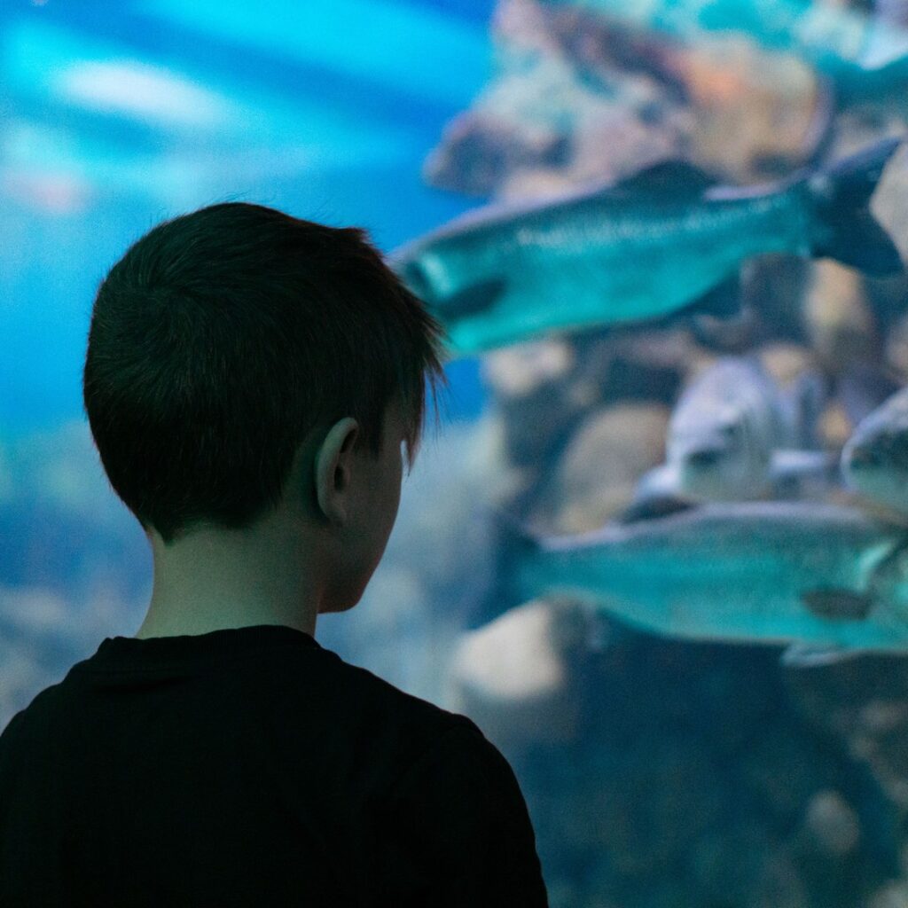 Corfu Aquarium: Dive into Enchanting Marine Worlds with a Guided Tour 2 corfu aquarium entry ticket with guided tour 3
