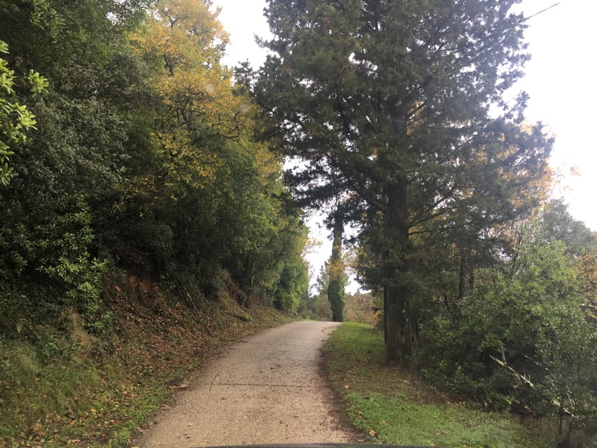 South Corfu by Land Rover: Seven Hours, Six Seats and a Contaminated Highlight Block 2 Narrow unpaved road through woodland on the south Corfu route