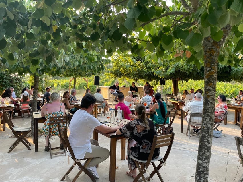 Corfu: Live Jazz Music at the Vineyard - An Enchanting Escape 1 corfu live jazz music at the vineyard 5