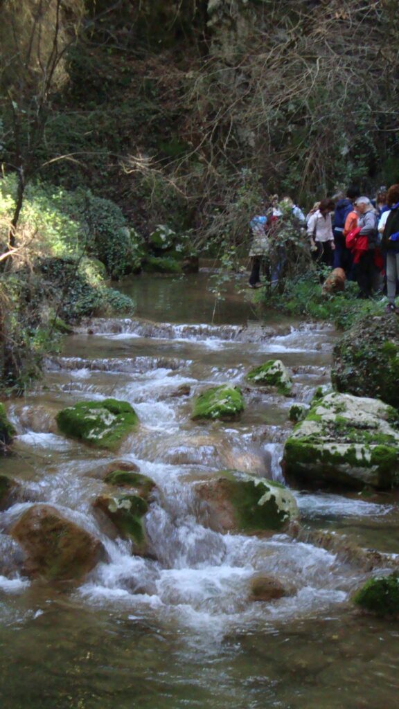 Pelagos Apartments, Ag. Gordios, Corfu: Your Romantic Ionian Escape 1 apartments corfu.corfudiscovery fullsize 9