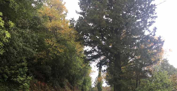 Corfu: Full Day Small-Group Trip with Lunch