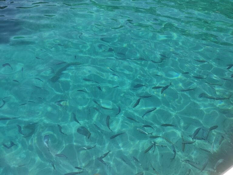 Corfu: Private Boat Tour