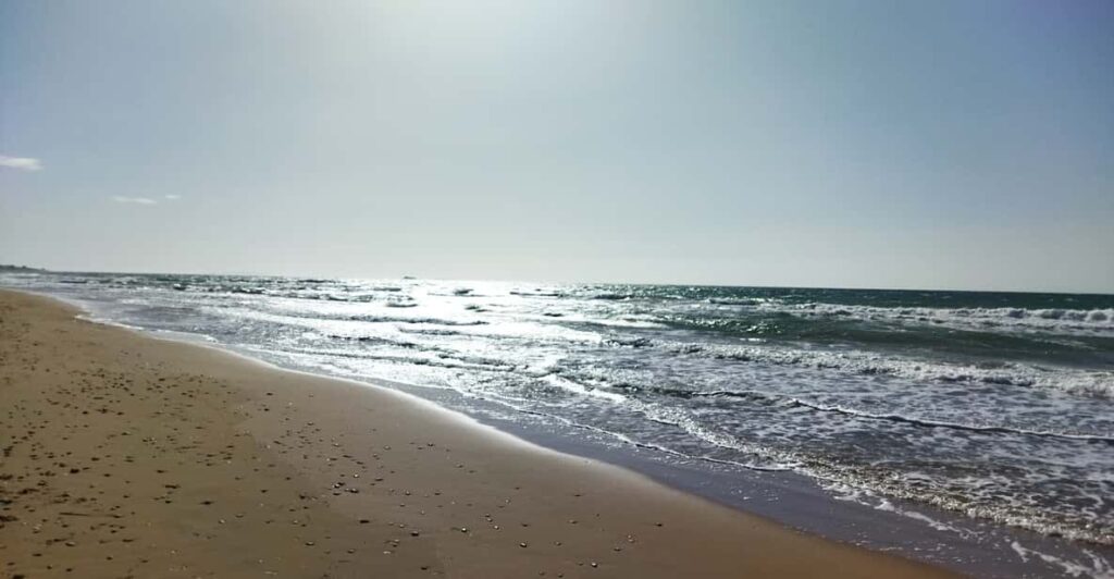 Corfu: Private Full-Day Northern Beaches Tour
