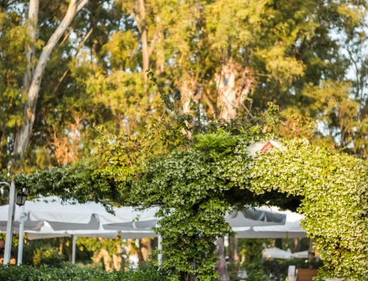 Avli Restaurant Corfu